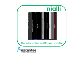 Nialli - How using sections simplifies your workflow